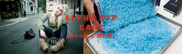 прущие грибы Весьегонск