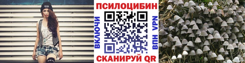 что такое наркотик Воронеж Псилоцибиновые грибы прущие грибы